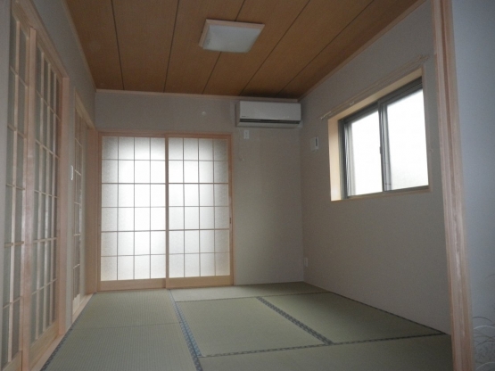 IMGP5493
